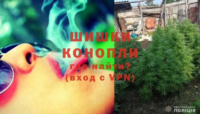 Где купить наркоту Новая Ладога Alpha-PVP  Мефедрон  Кодеин  Cocaine 